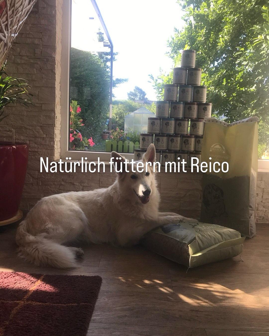 Vielseitige Lösungen für Haushalt und Tierbereich