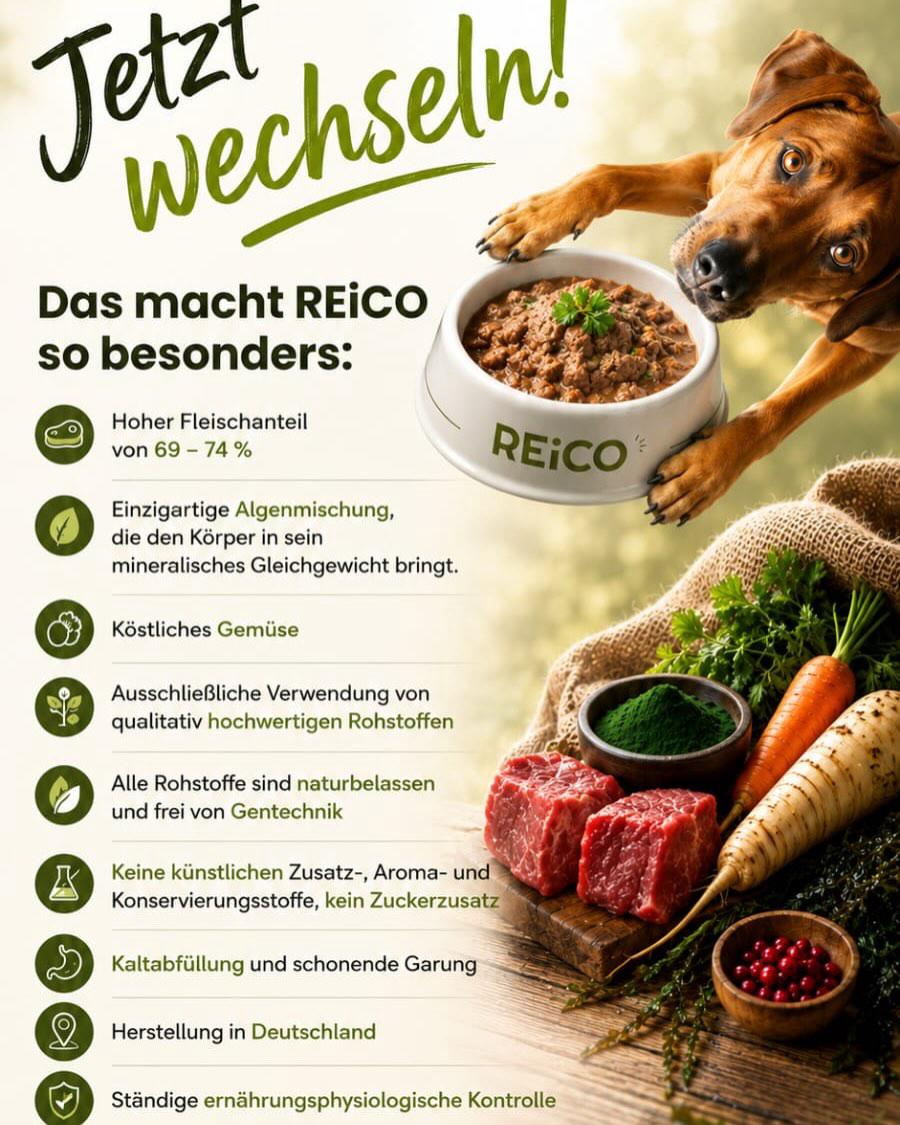 Einblick in die Welt von Mein Naturfutter und Reico