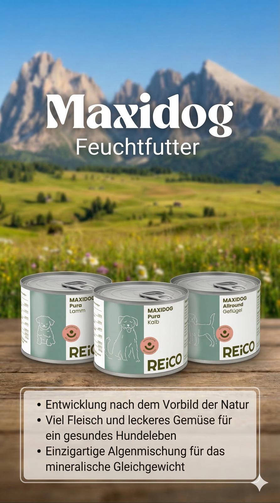 Reico Hundesnacks – Produktauswahl