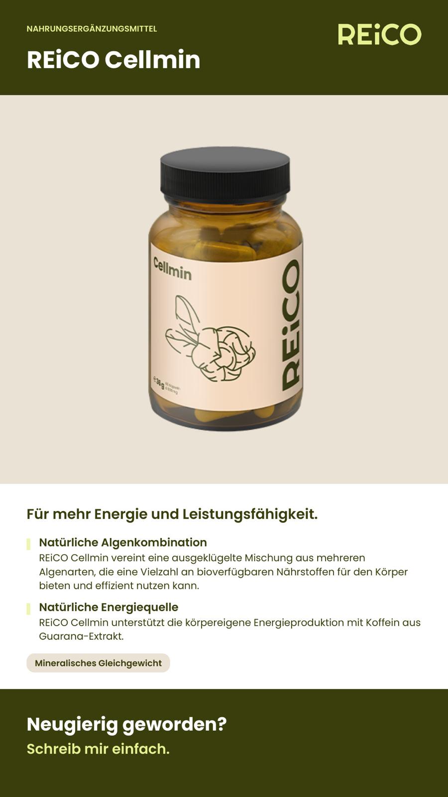Reico Levi Saft
