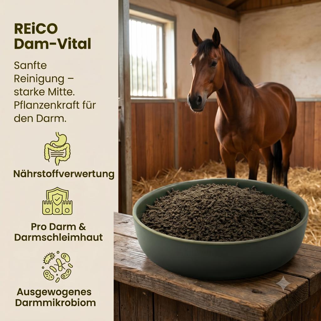 Reico Produkt mit Algen und pflanzlichen Zutaten