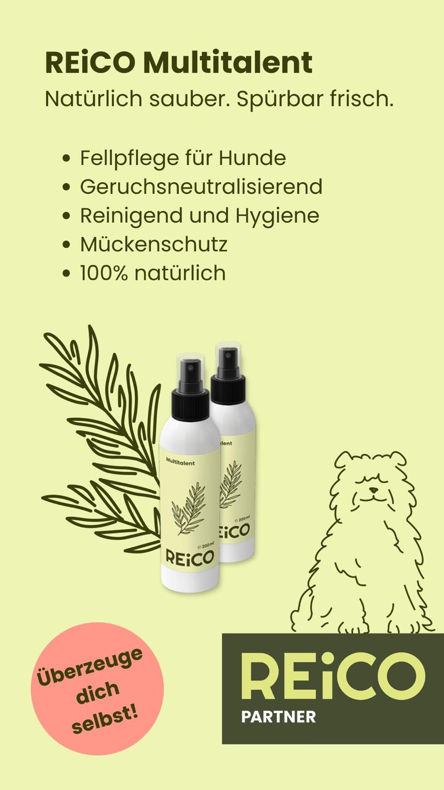 Auswahl an Reico Produkten und Pflegelösungen