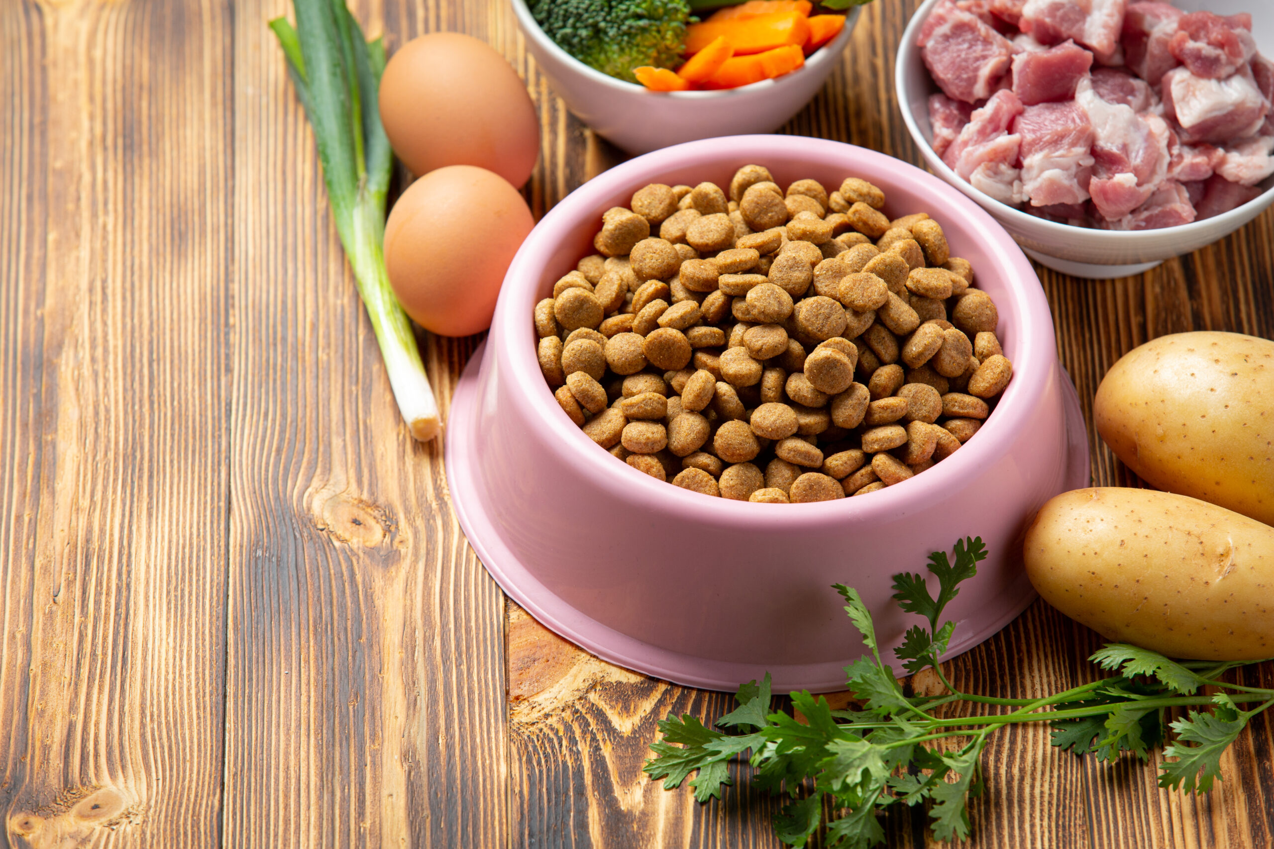 Reico MAXiDOG Premium Hundefutter aus der Produktwelt